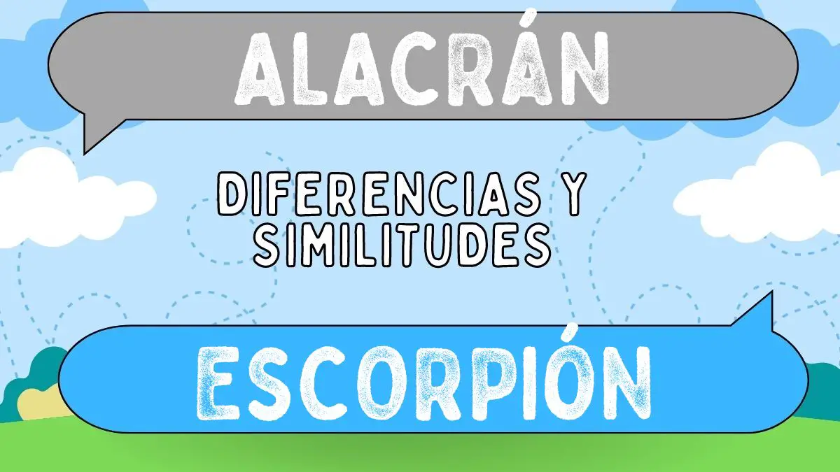 Diferencias entre alacrán y escorpión