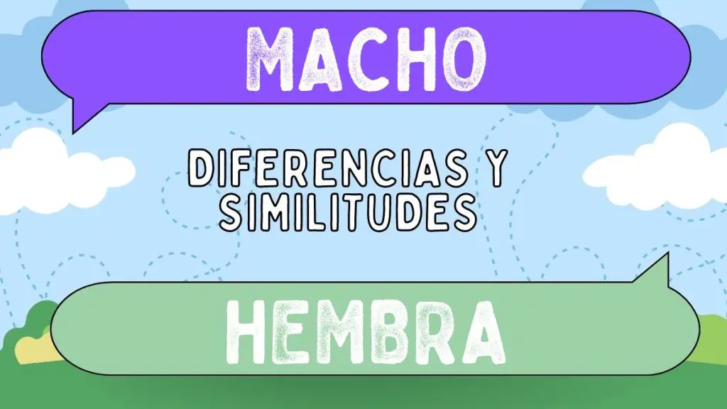Diferencias entre macho y hembra