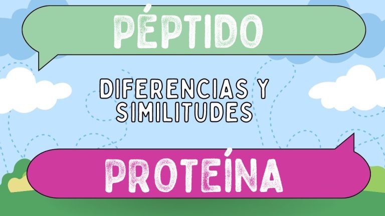 Diferencias entre péptido y proteína