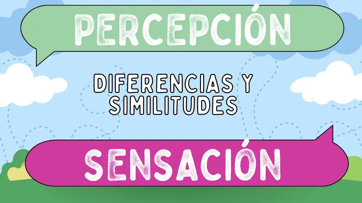 Diferencias Entre Percepción Y Sensación