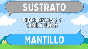 Diferencias entre sustrato y mantillo