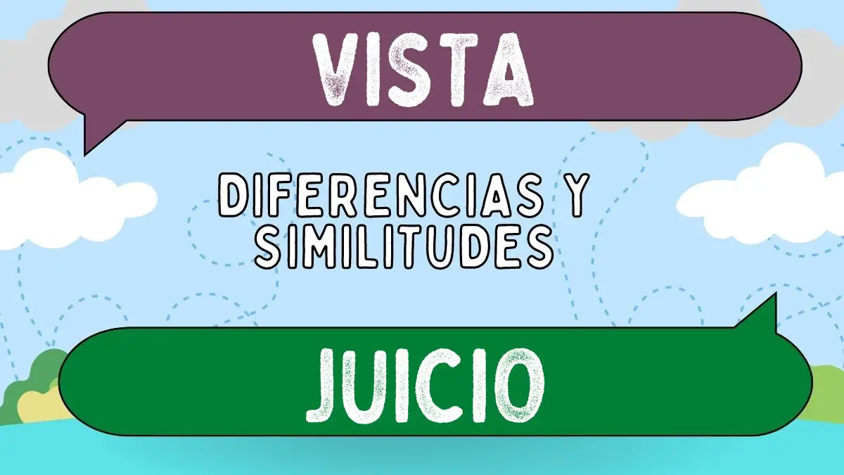 Diferencias entre vista y juicio